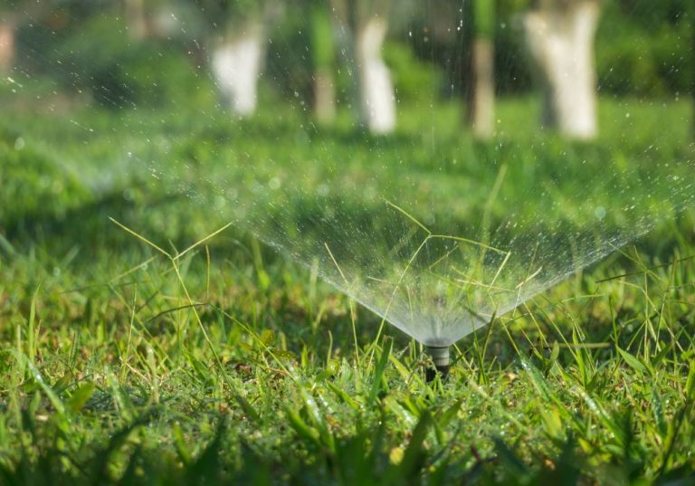 How Much Does a Garden Hose Flow for Healthy Lawns