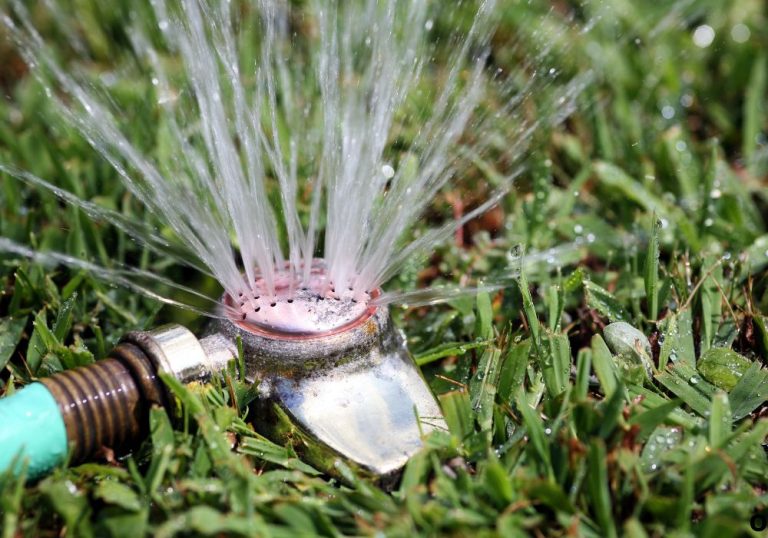 How to Use a Garden Hose Reel for Effortless Watering