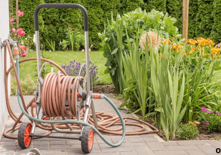 Can You Get Legionnaires Disease From a Garden Hose at Home