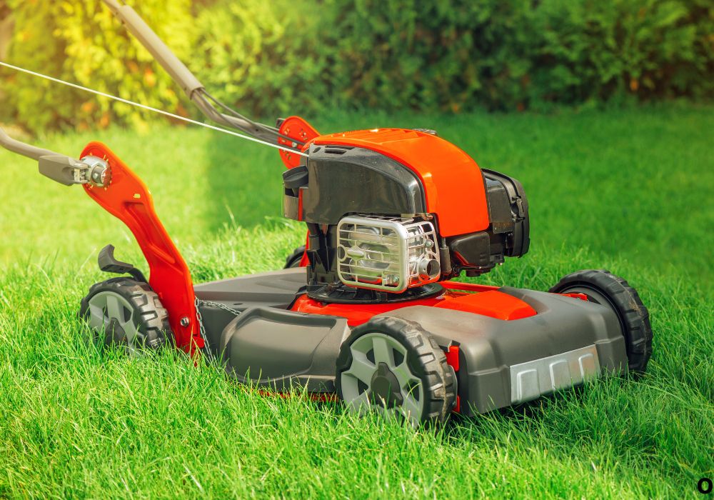 Reel Mower vs Rotary Mower: Which One Fits Your Yard?