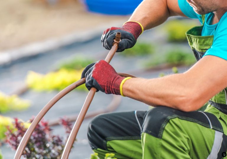 How to Winterize a Garden Hose and Prevent Freezing