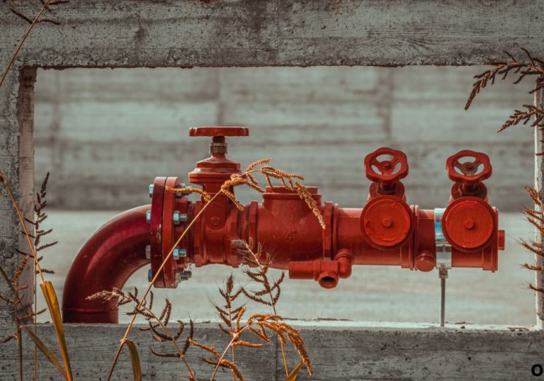 Do I Need a Backflow Preventer on My Garden Hose at Home