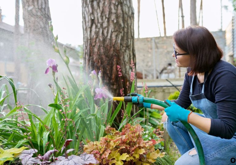 How to Clean a Garden Hose and Prevent Bacteria