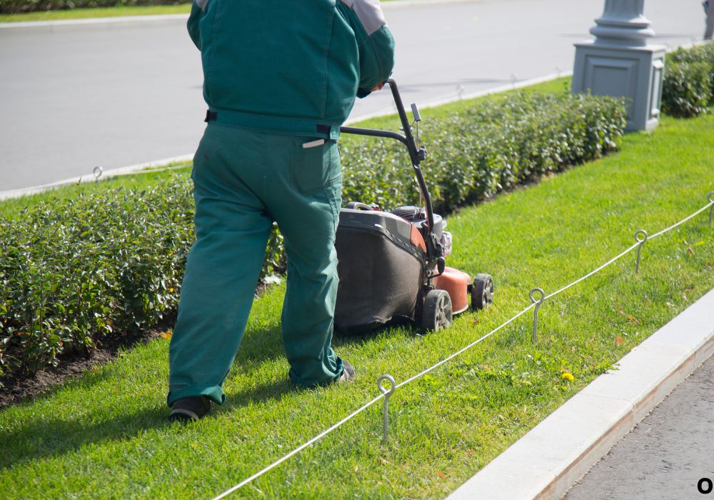 Honda vs Toro Lawn Mower: Which Cuts Better in 2025?