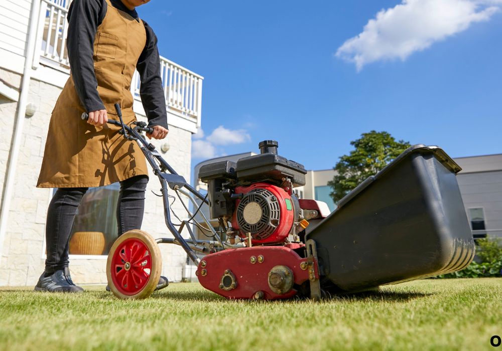 Common Problems and Troubleshooting Chute Issues