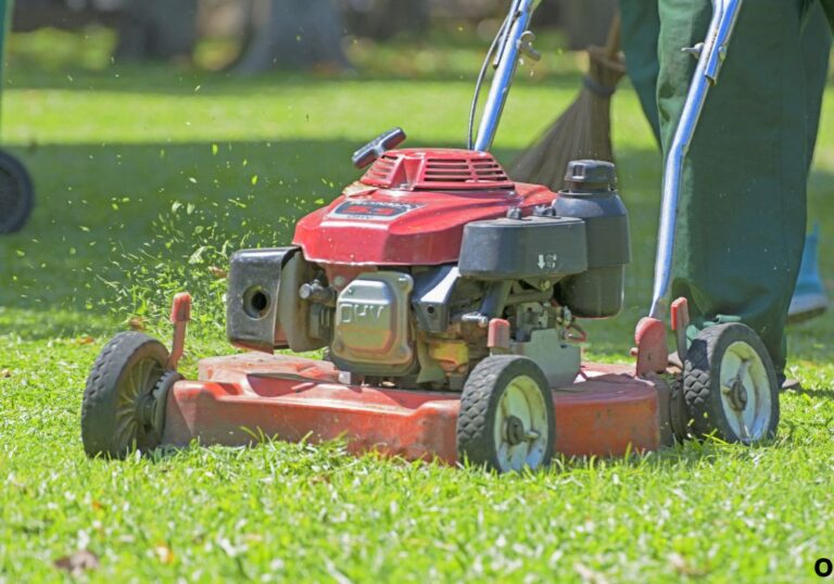 What Does CC Mean on a Lawn Mower for Beginners Guide