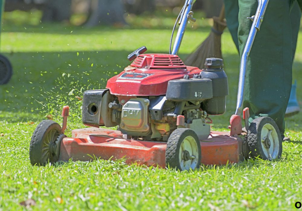 What Does CC Mean on a Lawn Mower for Beginners Guide