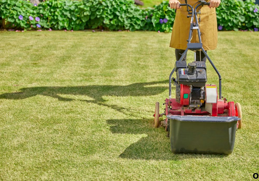 The One-Third Rule: Why It Matters