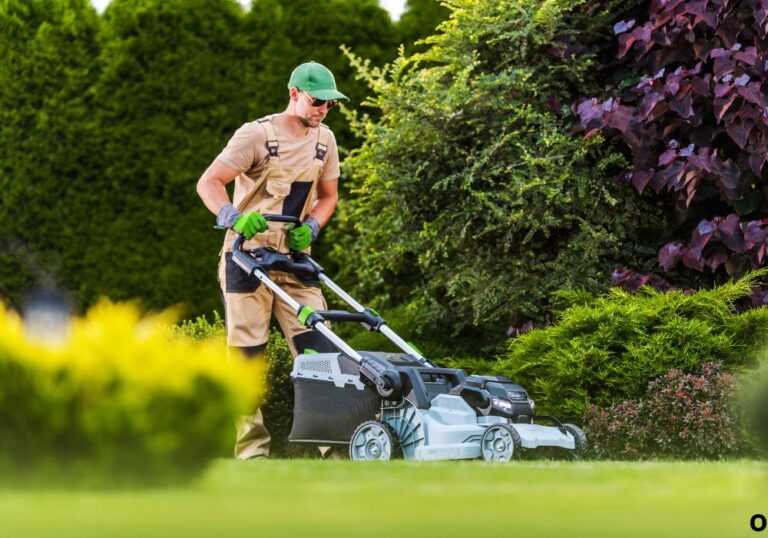 How to Prepare Lawn Mower for First Use Before Mowing