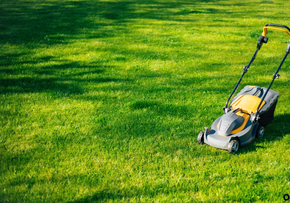 Blades, Deck, and Fasteners