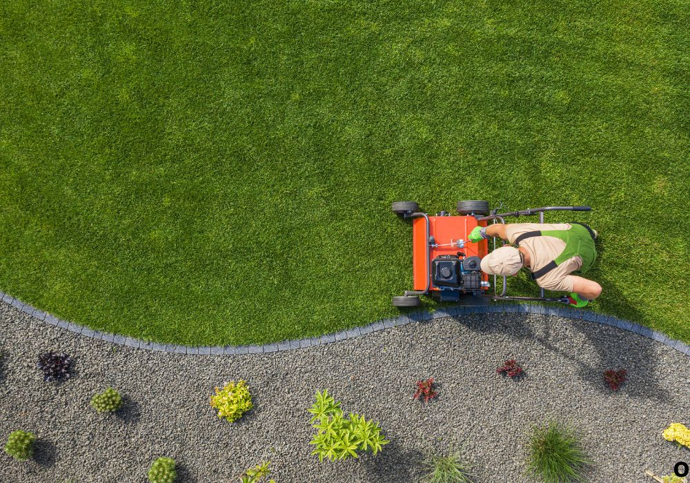 What Is a Choke on a Lawn Mower and How It Works