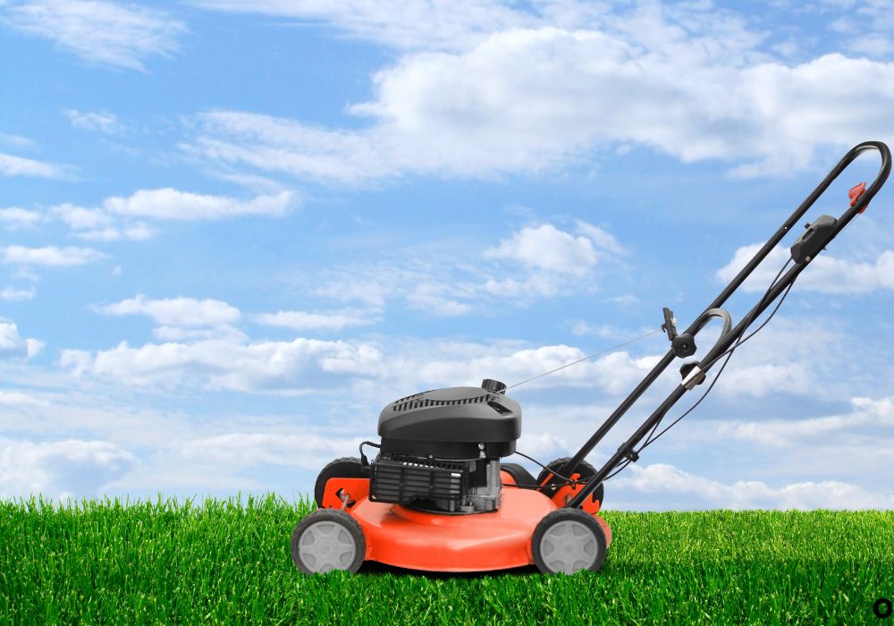 Understanding Your Lawn Needs and Goals