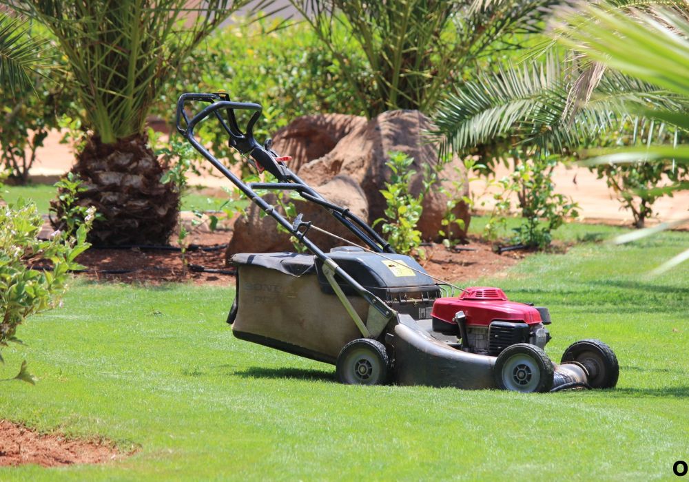 What Is an Electric Lawn Mower and How Does It Work?
