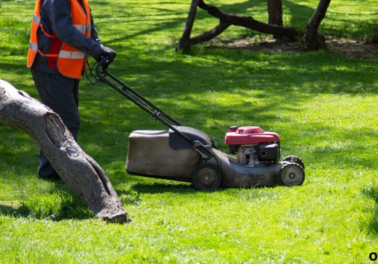 What Is a Mower Bag For? Complete Beginner’s Guide