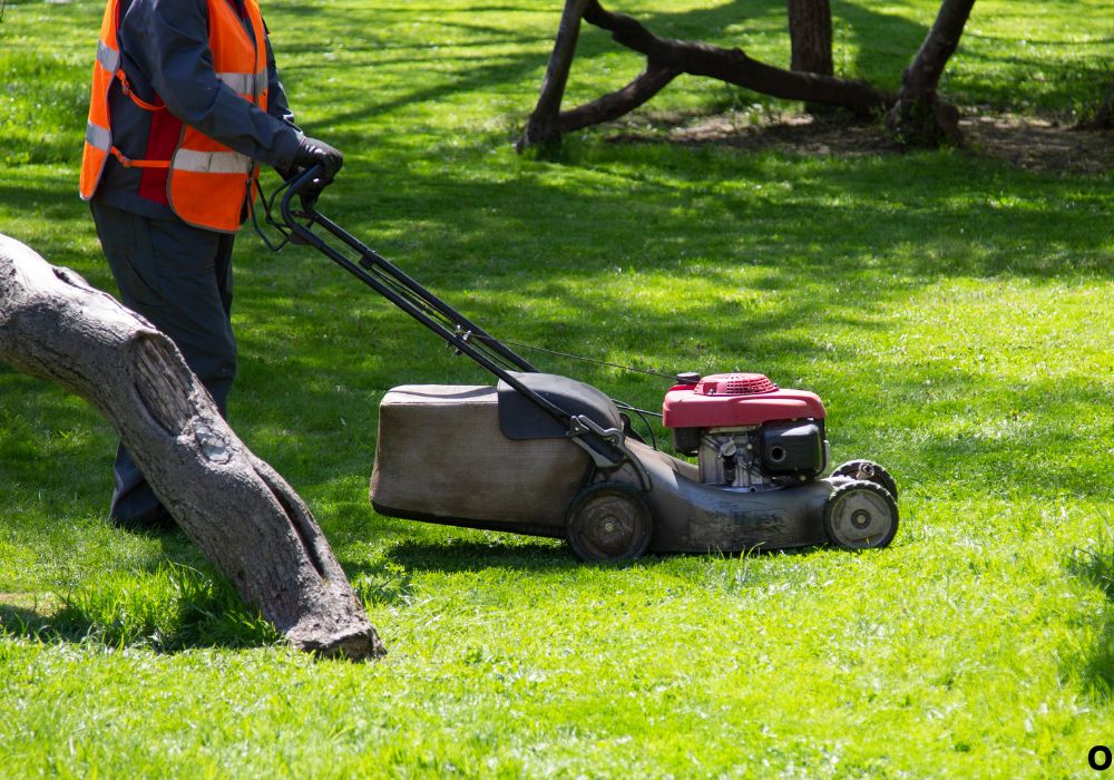 What Is a Mower Bag For? Complete Beginner’s Guide