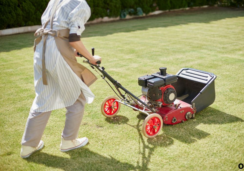 How to Use a Mower Bag Correctly & Best Practices