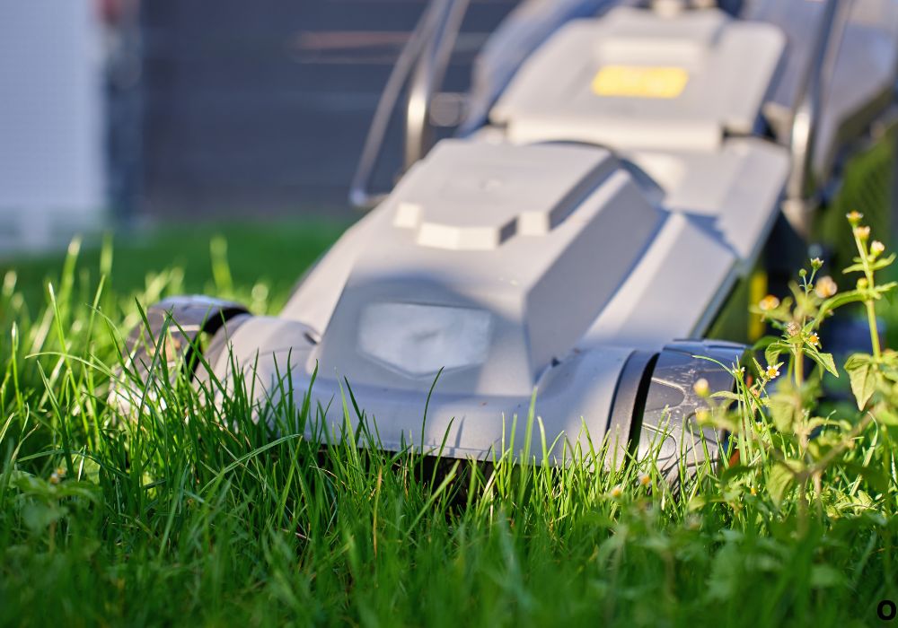 Matching Cutting Width to Lawn Size and Terrain