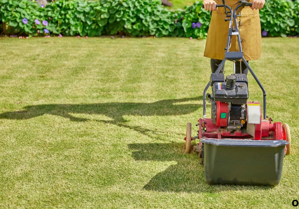 Common Symptoms — How a Failing Clutch Shows Up