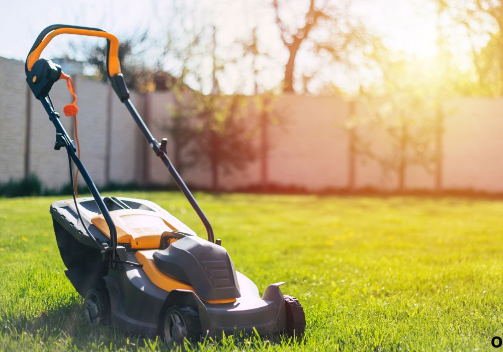 Electric vs Gas Lawn Mower Maintenance Cost Guide