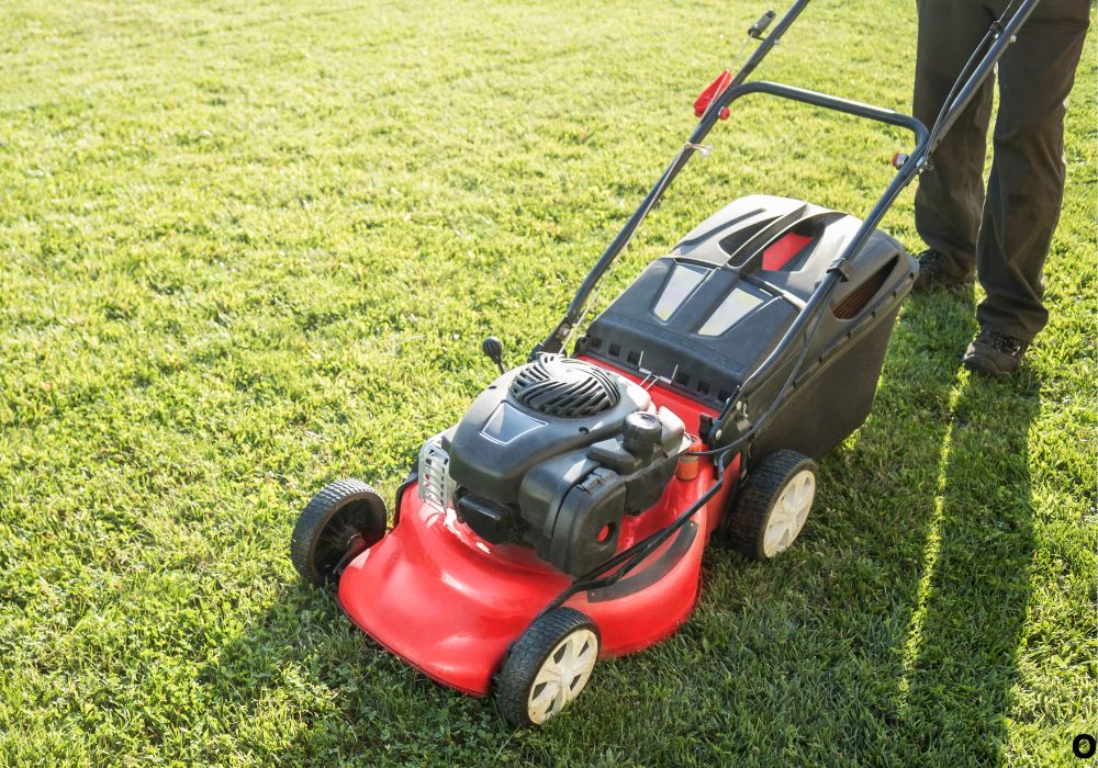 How to Start a Lawn Mower for the First Time Correctly