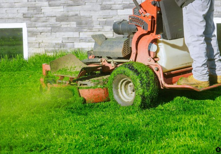 Types of Lawn Mowers: Find the Perfect One for You