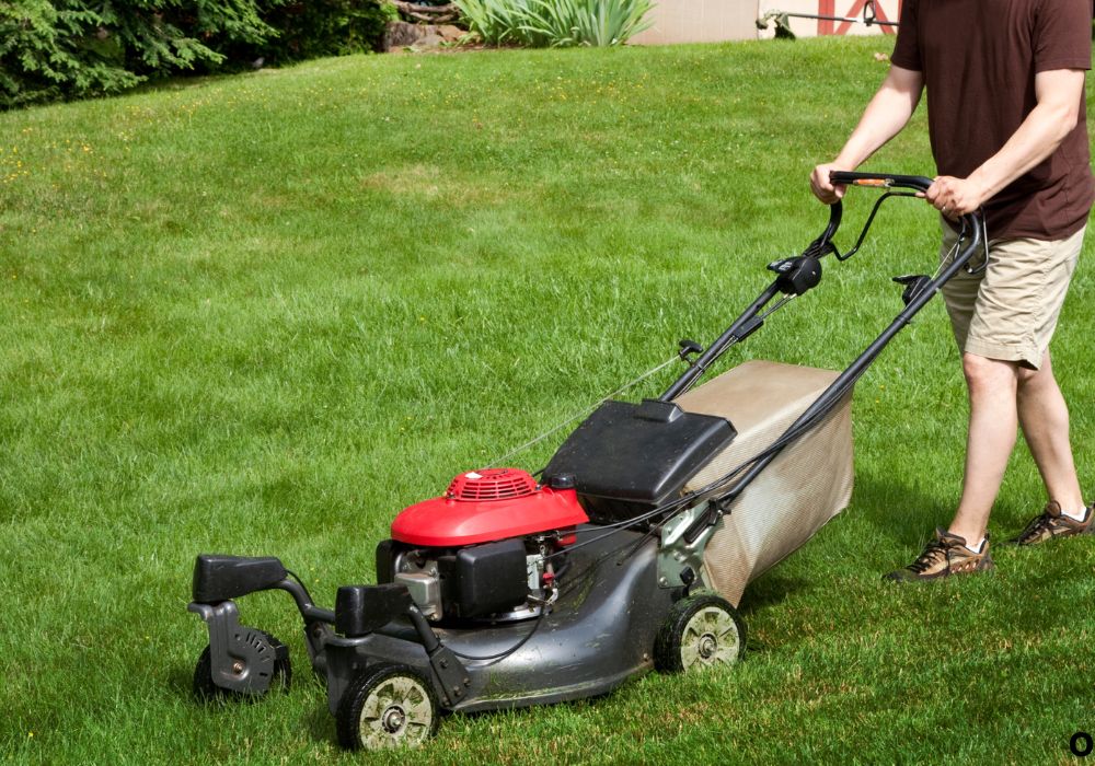 How to Push a Lawn Mower Properly for Best Results