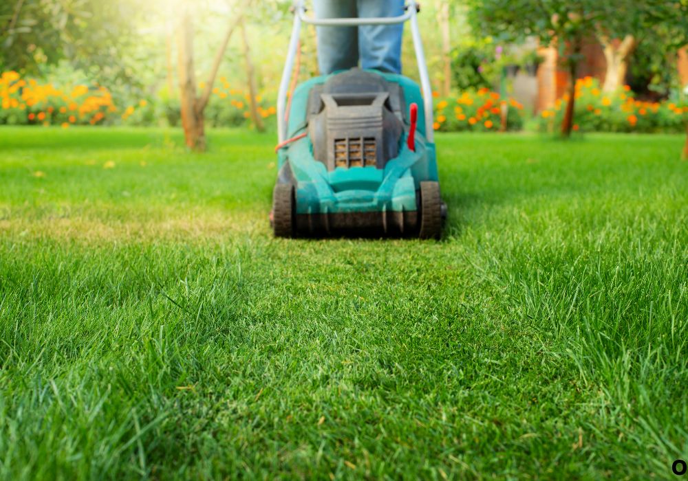 Efficient Mowing Patterns for Clean and Fast Results