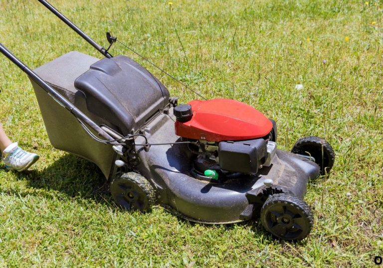 Difference Between Push and Self Propelled Lawn Mower Explained