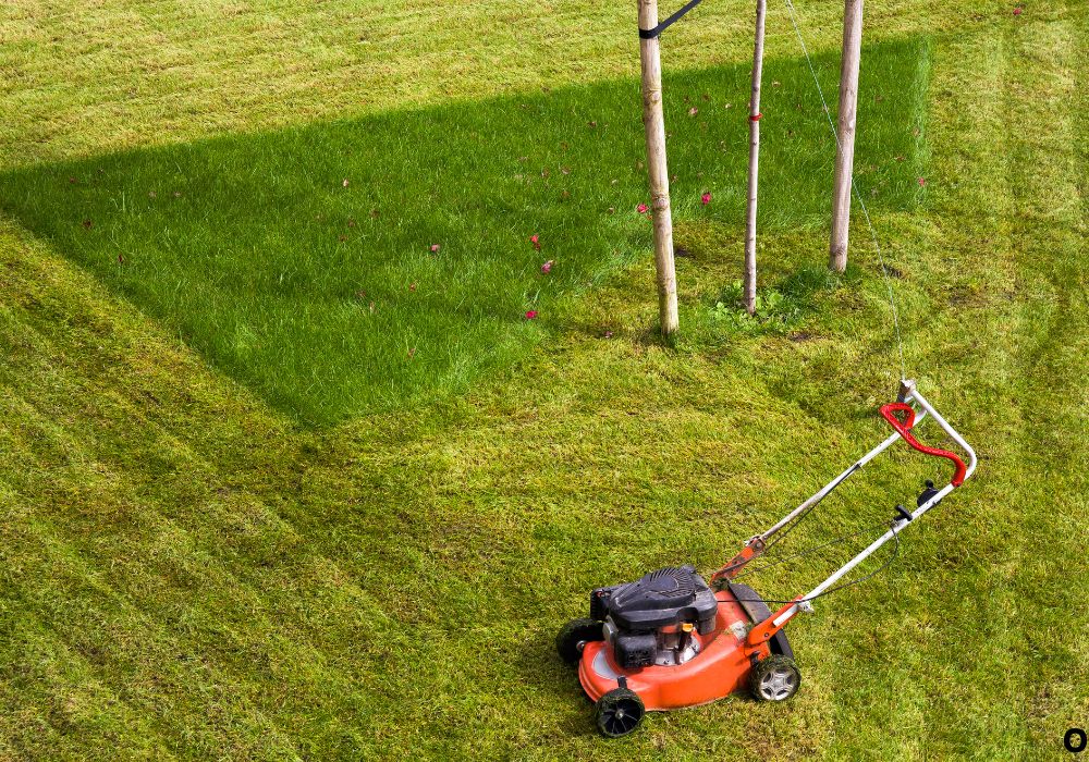 Step-by-Step Shutdown Techniques (by Mower Type)