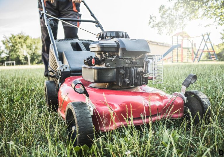 Difference Between Gas and Electric Lawn Mower Explained