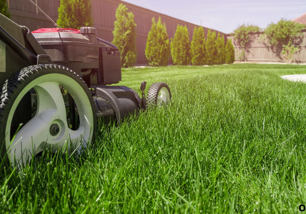 What Is Lawn Mower Height Adjustment and Why It Matters