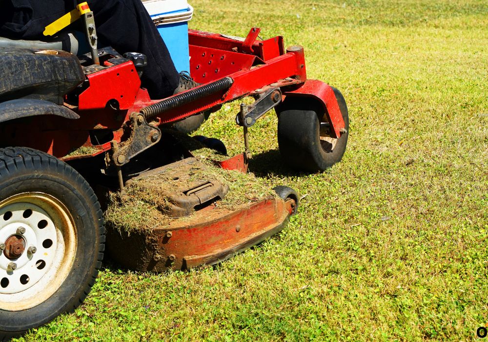How to Adjust Lawn Mower Height for a Perfect Cut