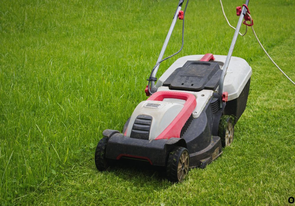 Best Voltage for Electric Lawn Mower Power & Runtime