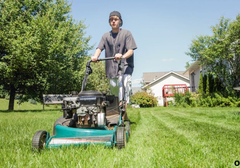 How to Mow a Lawn Efficiently for Healthier Grass