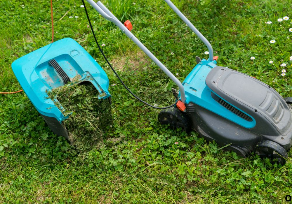 How Much Does an Electric Lawn Mower Battery Weigh?