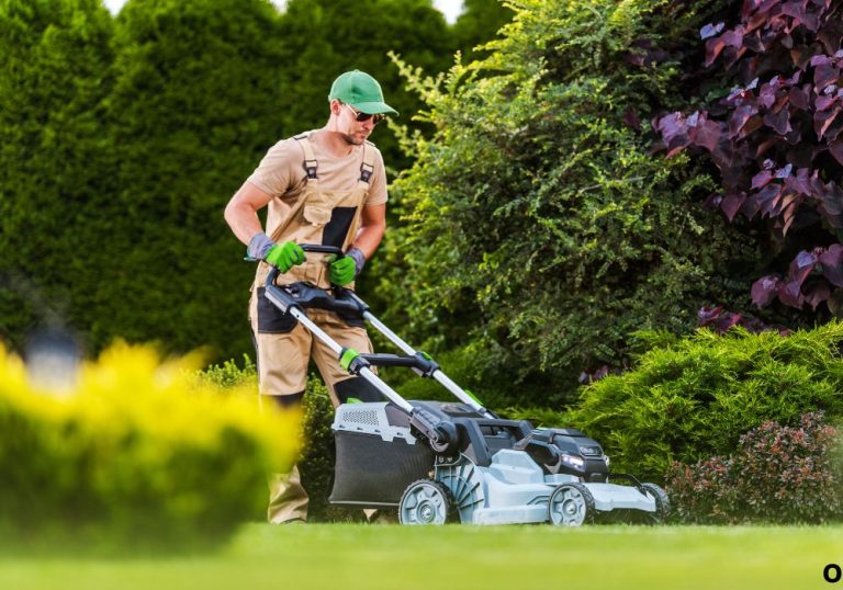 What Is a Self Propelled Lawn Mower and How to Choose One