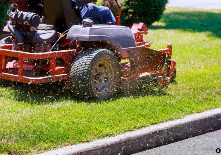 What Is a Mulching Lawn Mower? Full Guide Explained