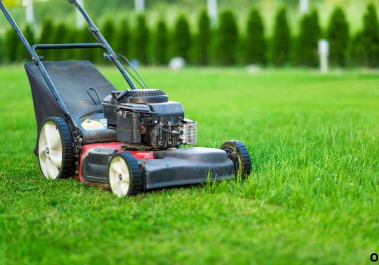 What Is a Reel Lawn Mower? Full Guide Explained