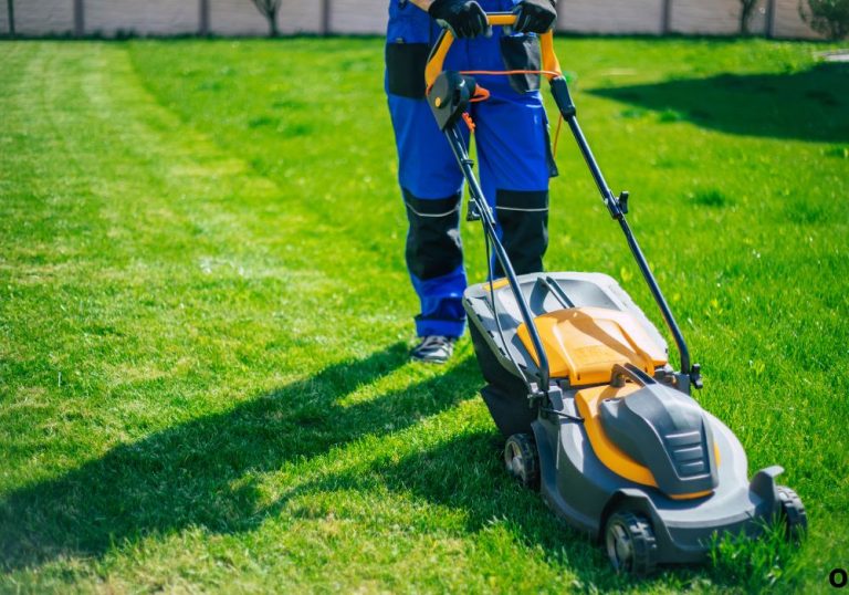 Push Mower vs Self Propelled Mower: Full Comparison