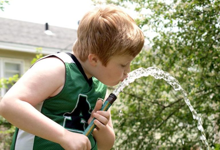 Is It Safe to Drink Water from a Garden Hose?Safety Tips