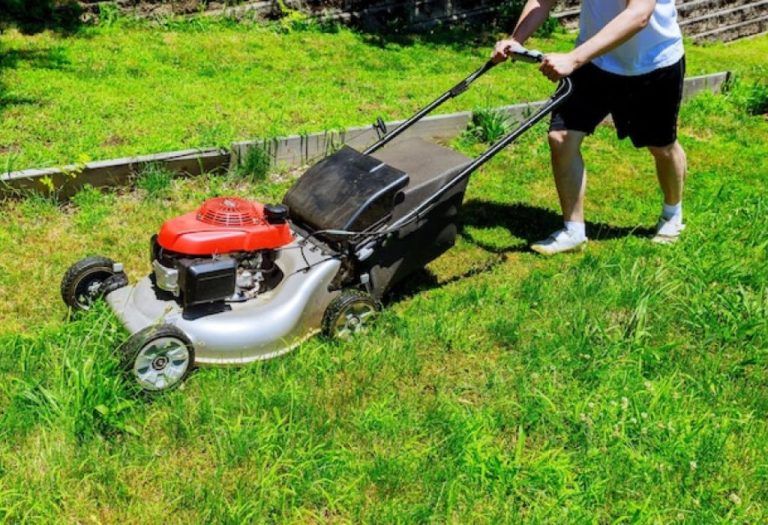 Who Invented the Lawn Mower and Why It Mattered