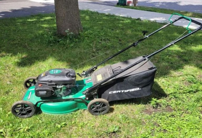 How Much Horsepower Does a Lawn Mower Have? Facts Inside