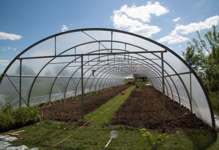 Reducing Grow Tent Odor: Simple Steps for Better Air Quality