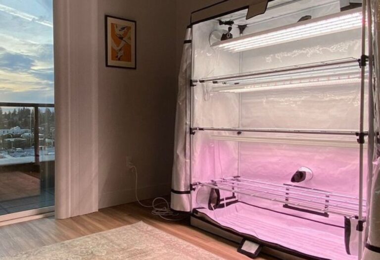 Grow Tent Humidity Controller Setup: A Simple Guide