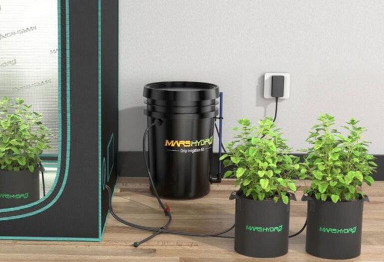 How to Cool a Grow Tent: Simple Steps for a Healthy Garden