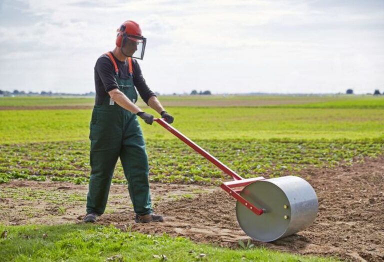 Should I Roll Lawn Before Mowing? Everything You Need to Know
