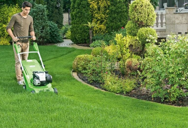 Lawn Aeration Before or After Rain Explained Simply