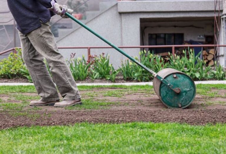 Best Time to Roll Lawn in Spring: A Simple Guide for Success
