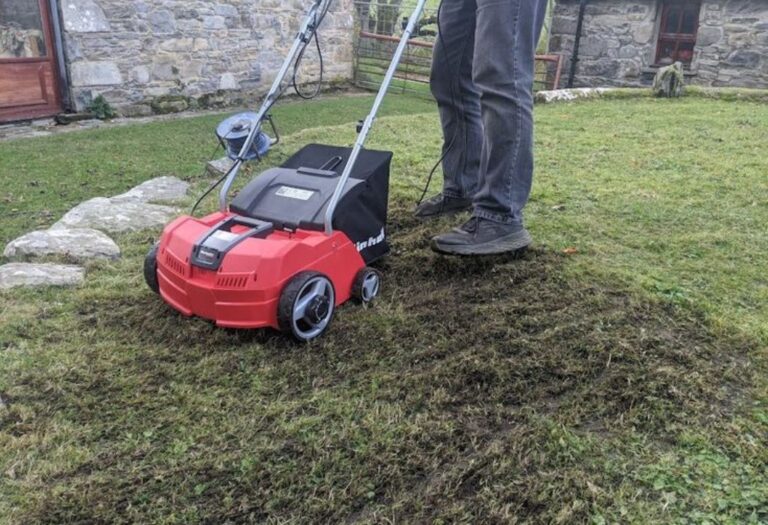 Aerate Lawn After Seeding: Step-by-Step Guide for Success