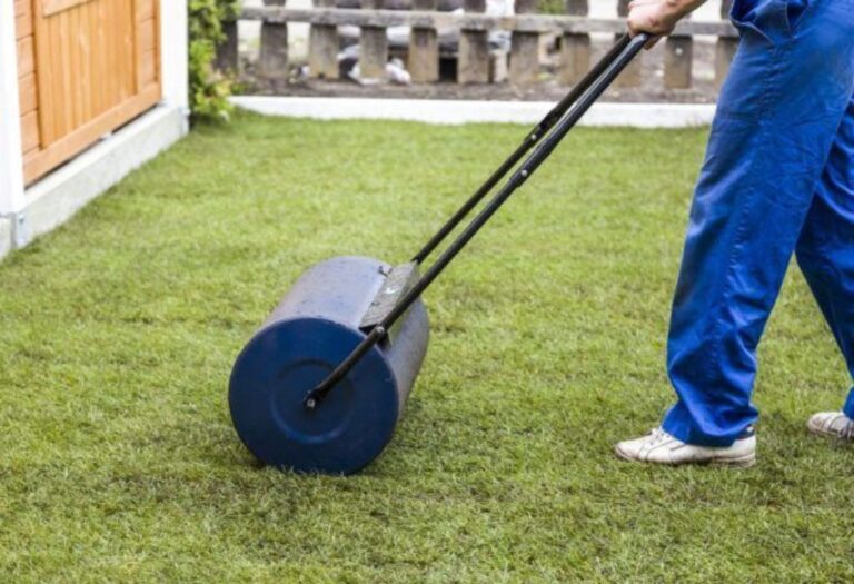 How Often Should You Roll Your Lawn to Get It Perfect?